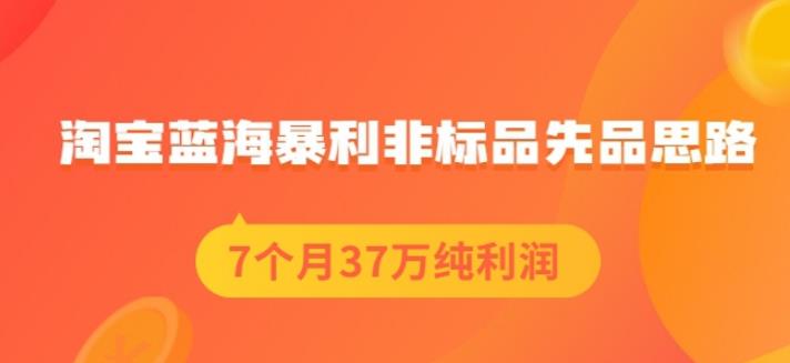 盗坤淘宝蓝海暴利非标品先品思路，7个月37万纯利润，压箱干货分享！【付费文章】-黑猫轻创业