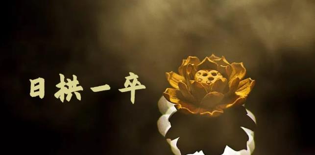 无脑搬砖,普通人可以复制的副业赚钱项目(附软件)-黑猫轻创业