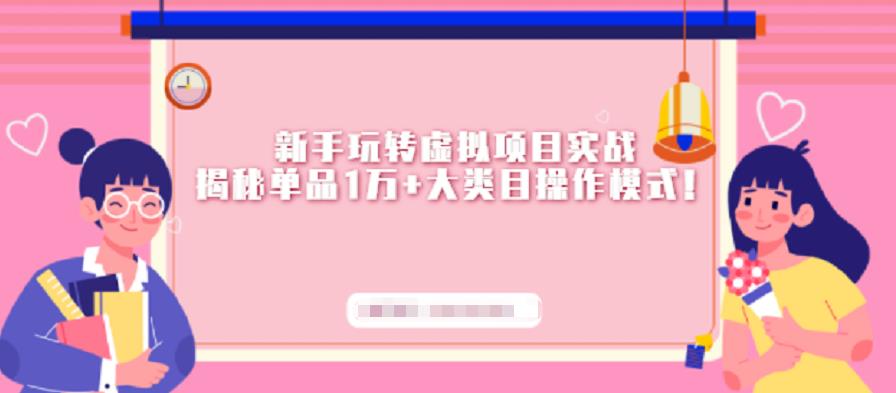 新手玩转虚拟项目实战,揭秘单品1万 大类目操作模式【视频课程】-黑猫轻创业