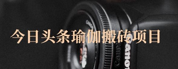 猎人社区·今日头条瑜伽搬砖项目，单号一天几十收入，可以批量操作！-黑猫轻创业