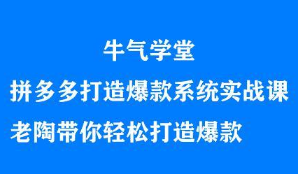 牛气学堂拼多多打造爆款系统实战课,老陶带你轻松打造爆款-黑猫轻创业