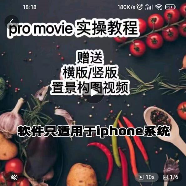 漆十二美食摄影,25节promovie实操高手课节-黑猫轻创业