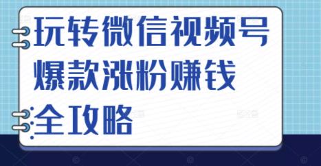 玩转微信视频号爆款涨粉赚钱全攻略，让你快速抓住流量风口，收获红利财富-黑猫轻创业