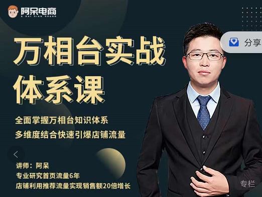 阿呆-万相台实战体系课,帮您全面掌握万相台知识体系-黑猫轻创业