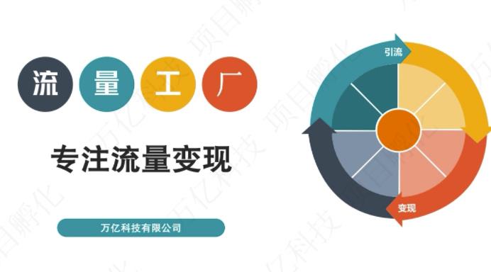 收费3980的流量工厂回粉项目，号称1个粉10元【详细玩法教程解析】-黑猫轻创业