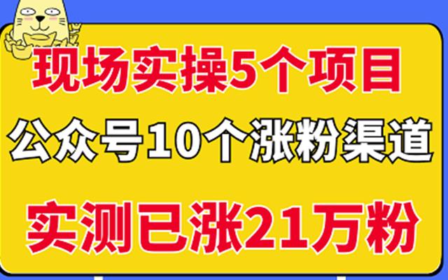 现场实操5个公众号项目，10个涨粉渠道，实测已涨21万粉！-黑猫轻创业