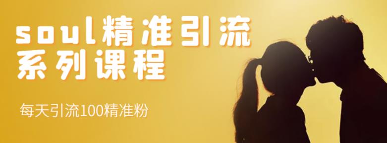 soul精准引流系列课程,每天引流100精准粉-黑猫轻创业