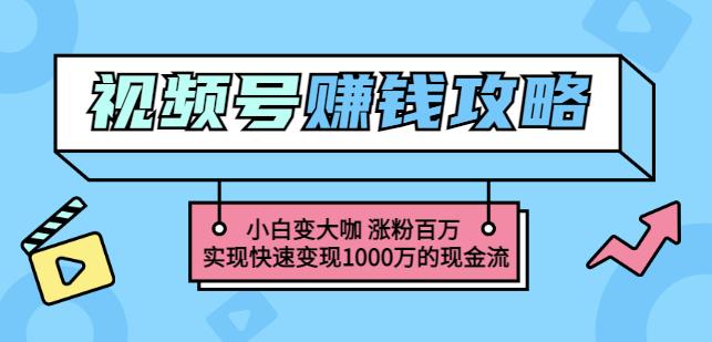 玩转微信视频号赚钱：小白变大咖涨粉百万实现快速变现1000万的现金流-黑猫轻创业