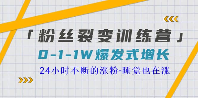 「粉丝裂变训练营」0-1-1w爆发式增长,24小时不断的涨粉-睡觉也在涨-16节课-黑猫轻创业