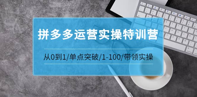 拼多多运营实操特训营：从0到1/单点突破/1-100/带领实操 价值2980元-黑猫轻创业