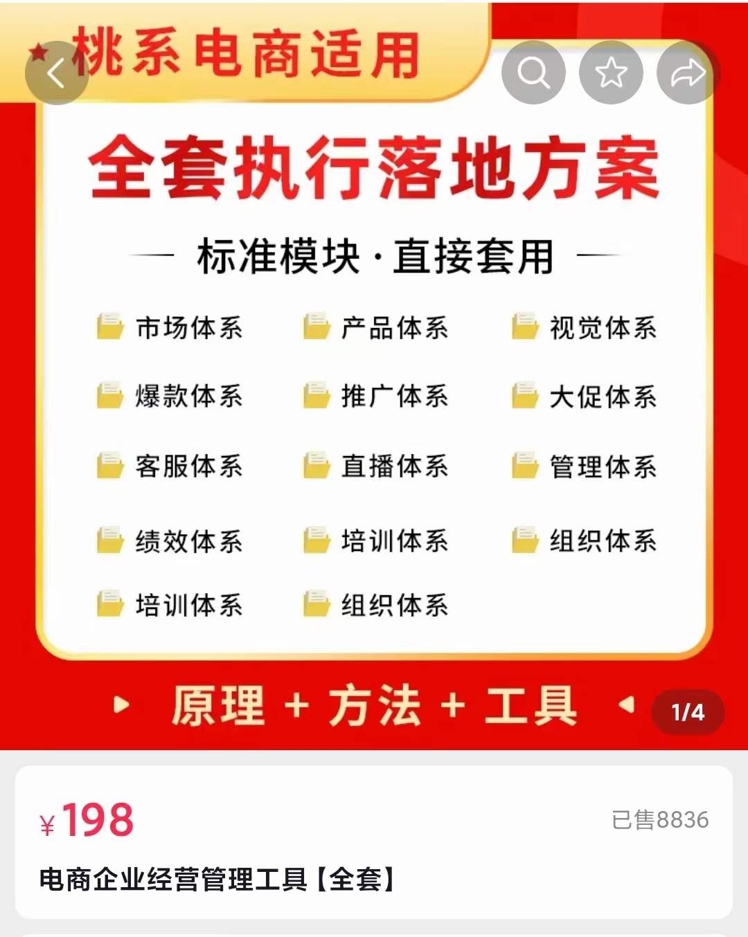 外面卖198·电商企业经营管理工具:全套执行落地方案 标准模块·直接套用-黑猫轻创业