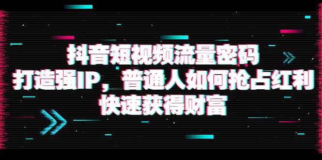 抖音短视频流量密码:打造强IP,普通人如何抢占红利,快速获得财富-黑猫轻创业