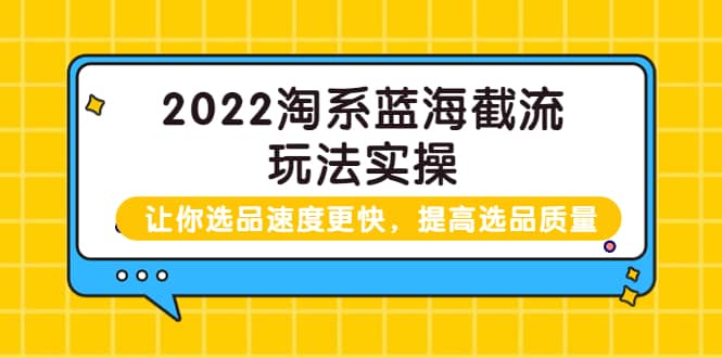 2022淘系蓝海截流玩法实操:让你选品速度更快,提高选品质量(价值599)-黑猫轻创业
