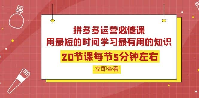 拼多多运营必修课:20节课每节5分钟左右,用最短的时间学习最有用的知识-黑猫轻创业