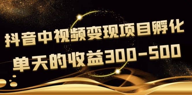 黄岛主《抖音中视频变现项目孵化》单天的收益300-500 操作简单粗暴-黑猫轻创业
