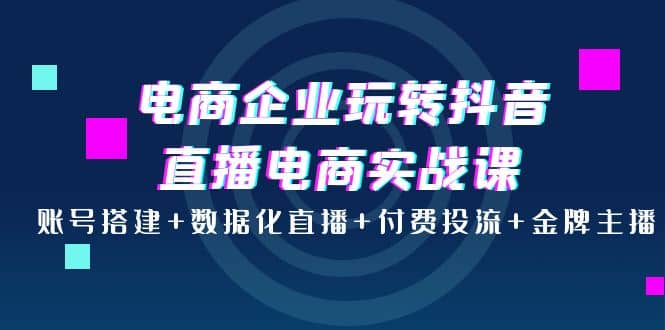 电商企业玩转抖音直播电商实战课：账号搭建 数据化直播 付费投流 金牌主播-黑猫轻创业