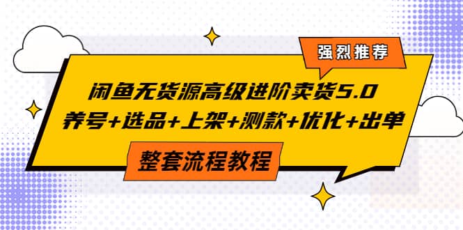 闲鱼无货源高级进阶卖货5.0,养号 选品 上架 测款 优化 出单整套流程教程-黑猫轻创业