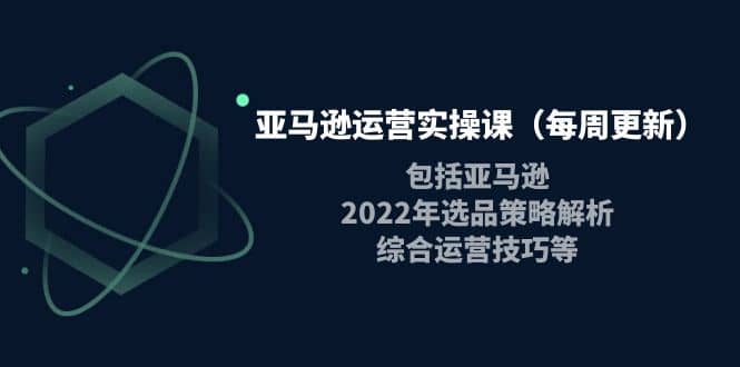 亚马逊运营实操课(每周更新)包括亚马逊2022选品策略解析,综合运营技巧等-黑猫轻创业