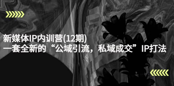 新媒体IP内训营(12期)，一套全新的“公域引流，私域成交”IP打法，直接带走-黑猫轻创业