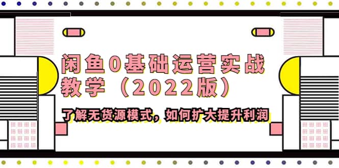 闲鱼0基础运营实战教学(2022版)了解无货源模式,如何扩大提升利润-黑猫轻创业