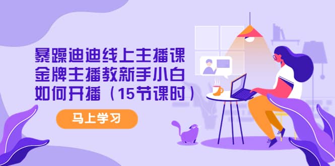 暴躁迪迪线上主播课,金牌主播教新手小白如何开播(15节课时)-黑猫轻创业