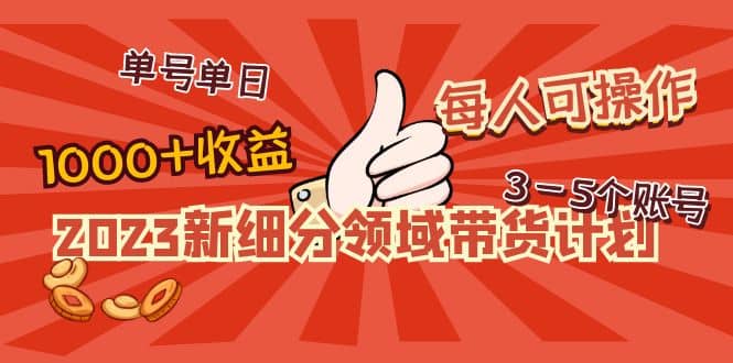 2023新细分领域带货计划：单号单日1000 收益不难，每人可操作3-5个账号-黑猫轻创业