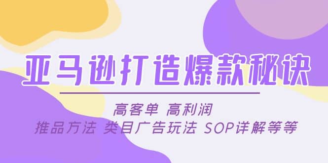 亚马逊打造爆款秘诀：高客单 高利润 推品方法 类目广告玩法 SOP详解等等-黑猫轻创业
