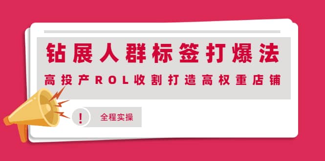 钻展人群标签打爆法，高投产ROL收割打造高权重店铺(全程实操)-黑猫轻创业