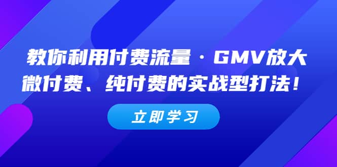 教你利用付费流量·GMV放大,微付费、纯付费的实战型打法-黑猫轻创业