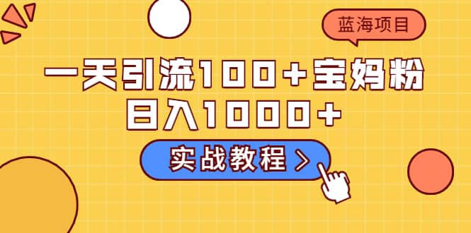 一天引流100 宝妈粉,日入1000 的蓝海项目(实战教程)-黑猫轻创业