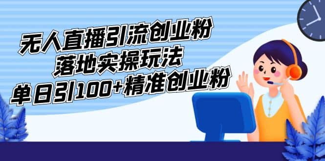 外面收费3980的无人直播引流创业粉落地实操玩法，单日引100 精准创业粉-黑猫轻创业