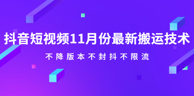 抖音短视频11月份最新搬运技术,不降版本不封抖不限流!【视频课程】-黑猫轻创业