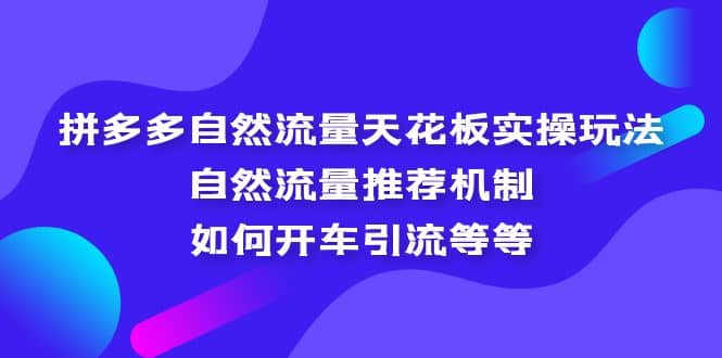 拼多多自然流量天花板实操玩法：自然流量推荐机制，如何开车引流等等-黑猫轻创业