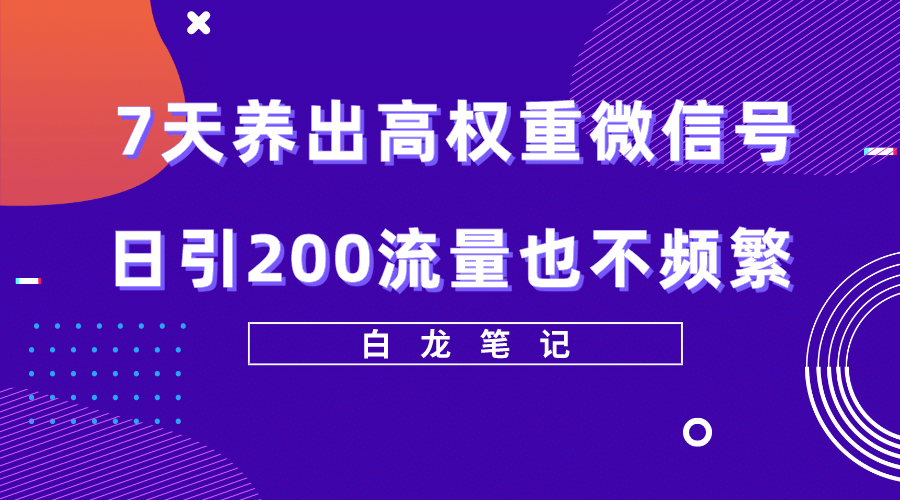 7天养出高权重微信号，日引200流量也不频繁，方法价值3680元-黑猫轻创业