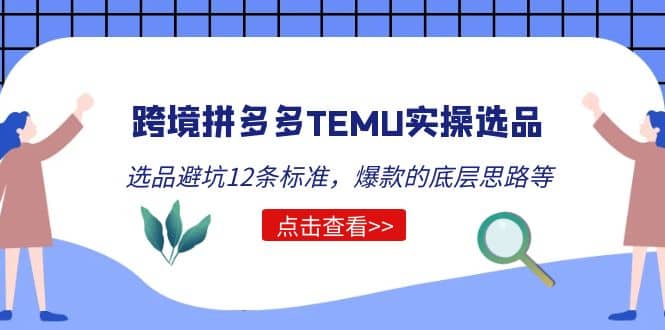 跨境拼多多TEMU实操选品运营方法,选品避坑12条标准,爆款的底层思路等-黑猫轻创业