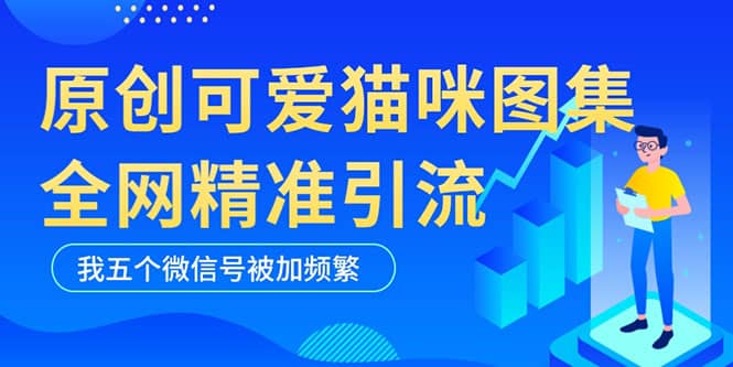 黑科技纯原创可爱猫咪图片，全网精准引流，实操5个VX号被加频繁-黑猫轻创业