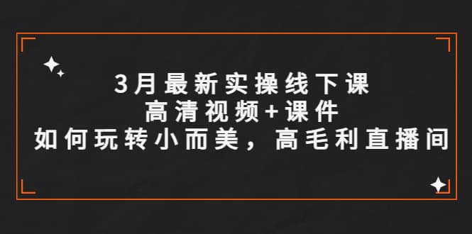 3月最新实操线下课高清视频 课件，如何玩转小而美，高毛利直播间-黑猫轻创业