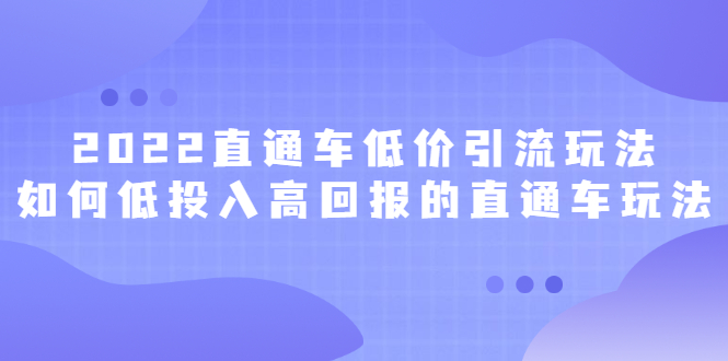 2022直通车低价引流玩法,教大家如何低投入高回报的直通车玩法-黑猫轻创业
