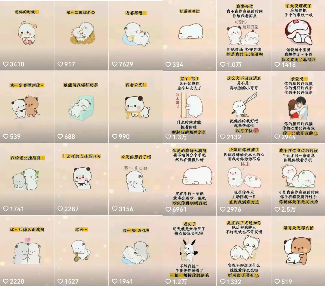 抖音表情包小程序变现项目，一条龙玩法详细大解析，视频版学习-黑猫轻创业