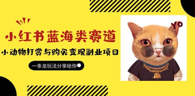 小红书蓝海类赛道：小动物打赏与购买变现副业项目，一条龙玩法分享给你-黑猫轻创业