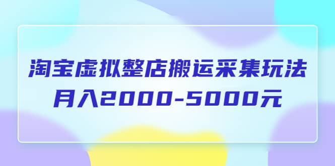 淘宝虚拟整店搬运采集玩法分享课：月入2000-5000元（5节课）-黑猫轻创业