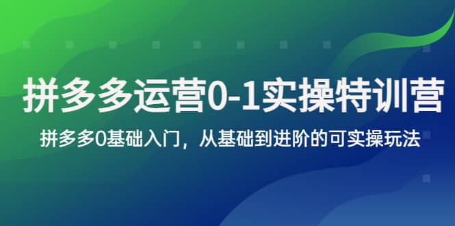 拼多多-运营0-1实操训练营，拼多多0基础入门，从基础到进阶的可实操玩法-黑猫轻创业