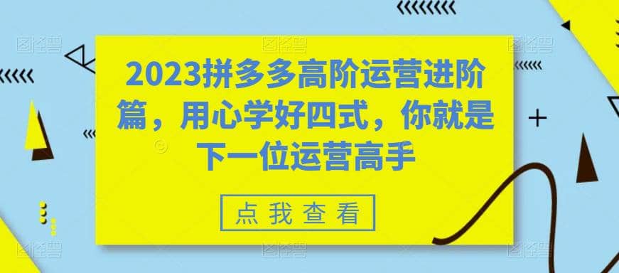 2023拼多多高阶运营进阶篇，用心学好四式，你就是下一位运营高手-黑猫轻创业