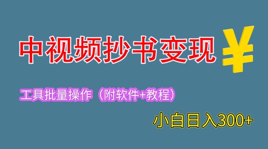 2023中视频抄书变现（附工具 教程），一天300 ，特别适合新手操作的副业-黑猫轻创业