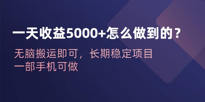 一天收益5000 怎么做到的？无脑搬运即可，长期稳定项目，一部手机可做-黑猫轻创业