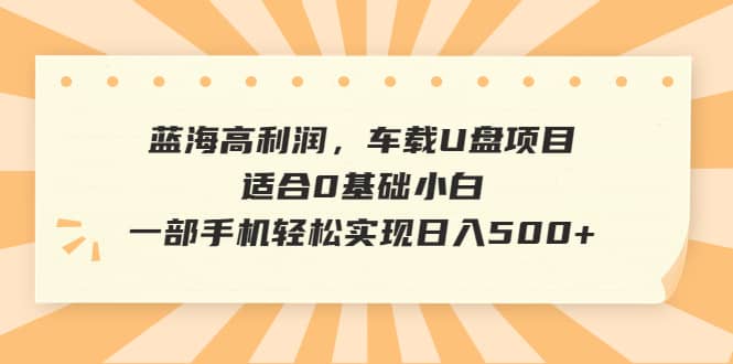 蓝海高利润，车载U盘项目，适合0基础小白，一部手机轻松实现日入500-黑猫轻创业