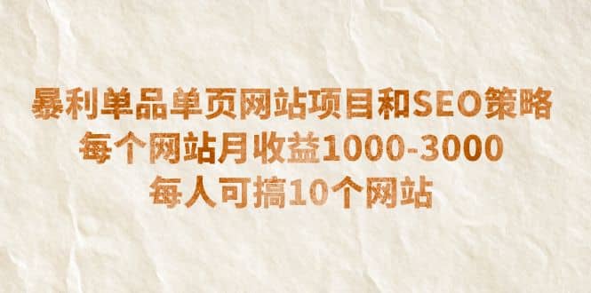 暴利单品单页网站项目和SEO策略 每个网站月收益1000-3000 每人可搞10个-黑猫轻创业