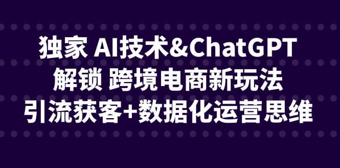 独家 AI技术ChatGPT解锁 跨境电商新玩法，引流获客 数据化运营思维-黑猫轻创业