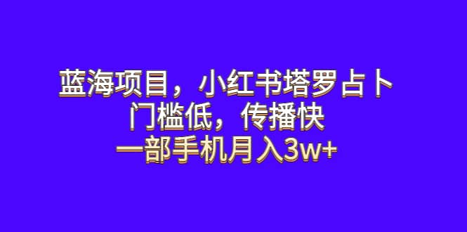 蓝海项目，小红书塔罗占卜，门槛低，传播快，一部手机月入3w-黑猫轻创业