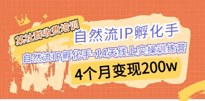 某社群收费培训:自然流IP 孵化手-14天线上实操训练营 4个月变现200w-黑猫轻创业
